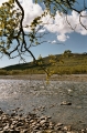 2004 n. Skaidi 3